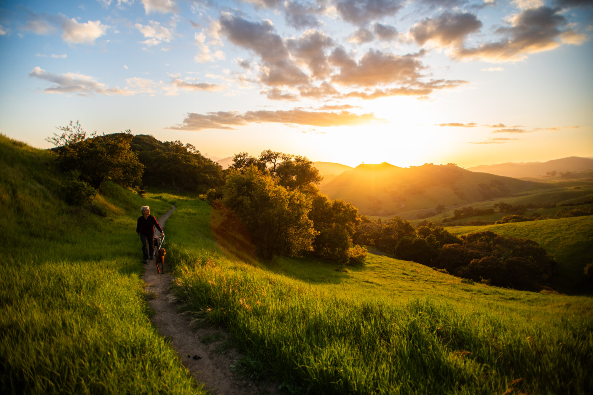 SLO Hikes